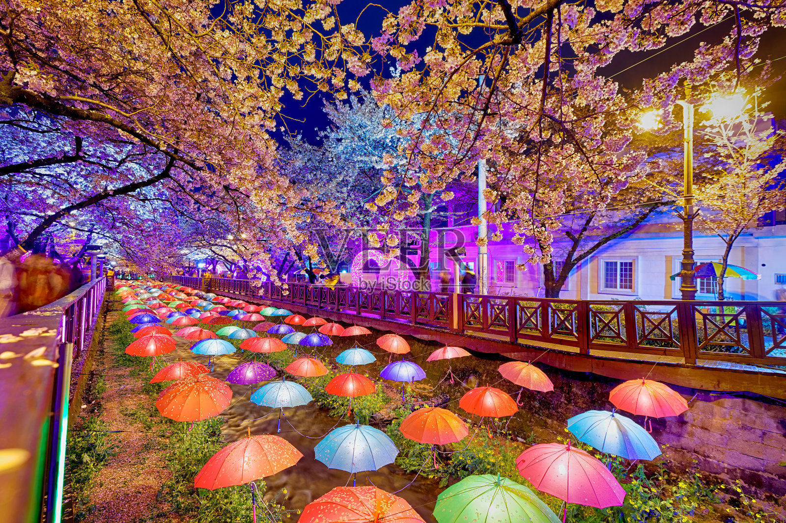 韩国釜山美丽的樱花照片摄影图片