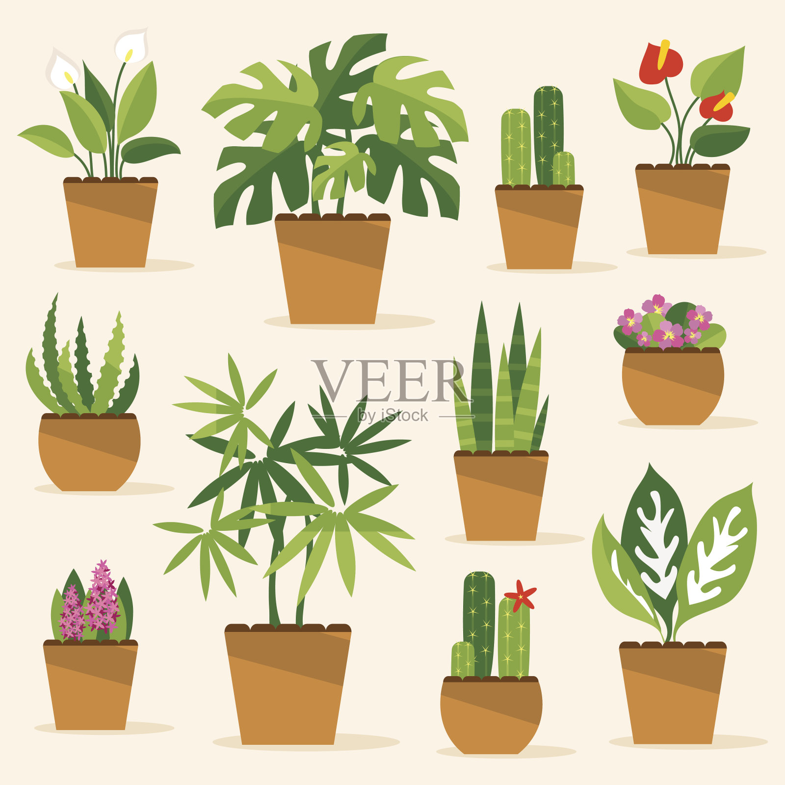 室内植物。矢量图插画图片素材