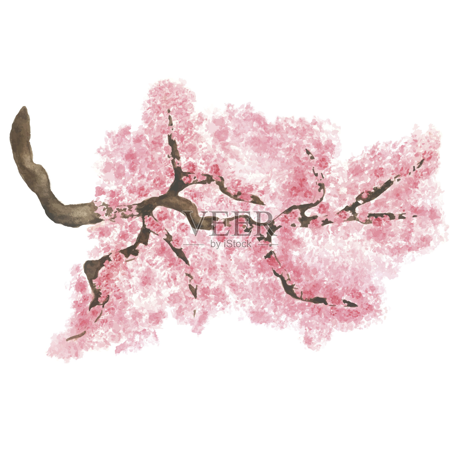 水彩枝花樱花设计元素图片
