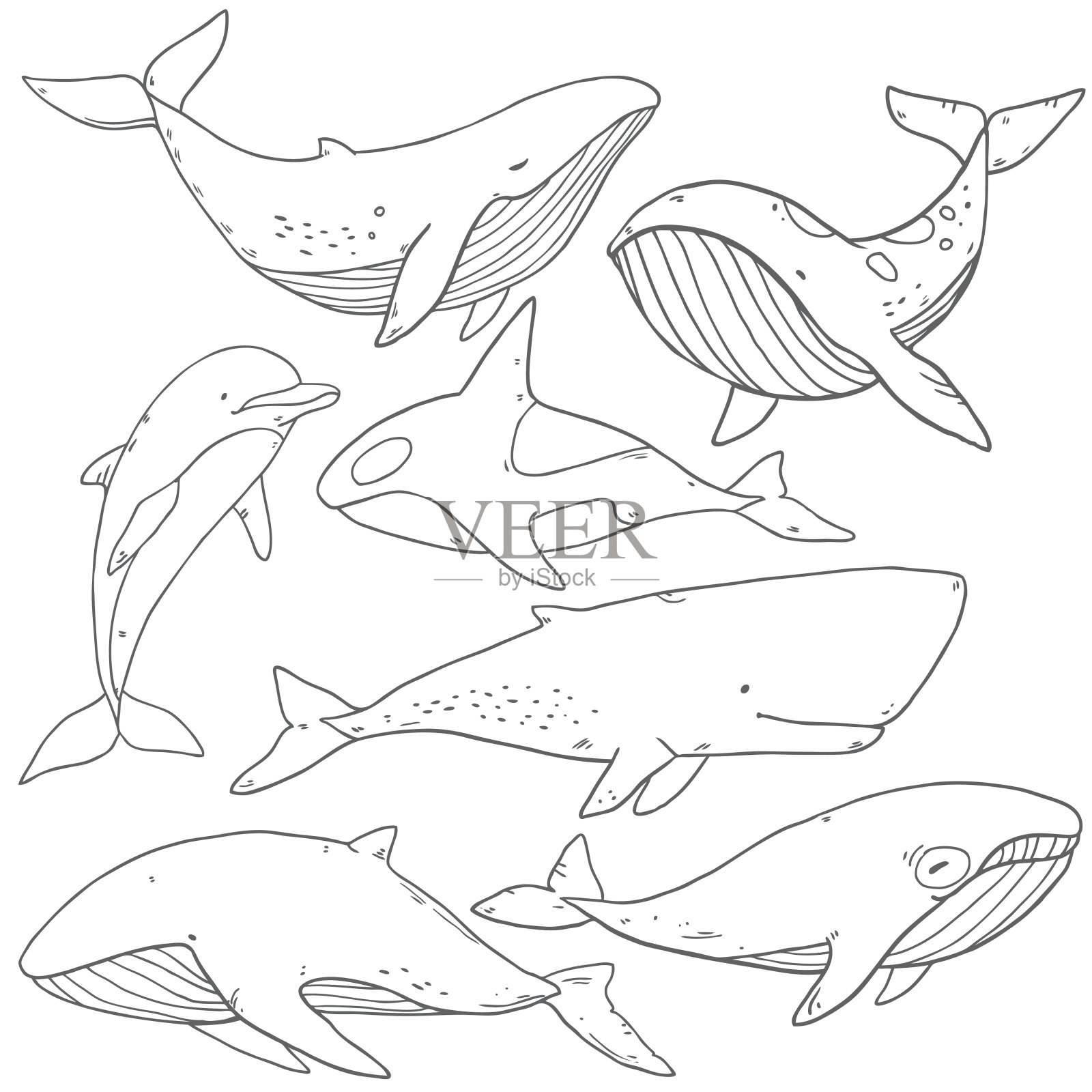 画海洋生物鲸鱼设计元素图片