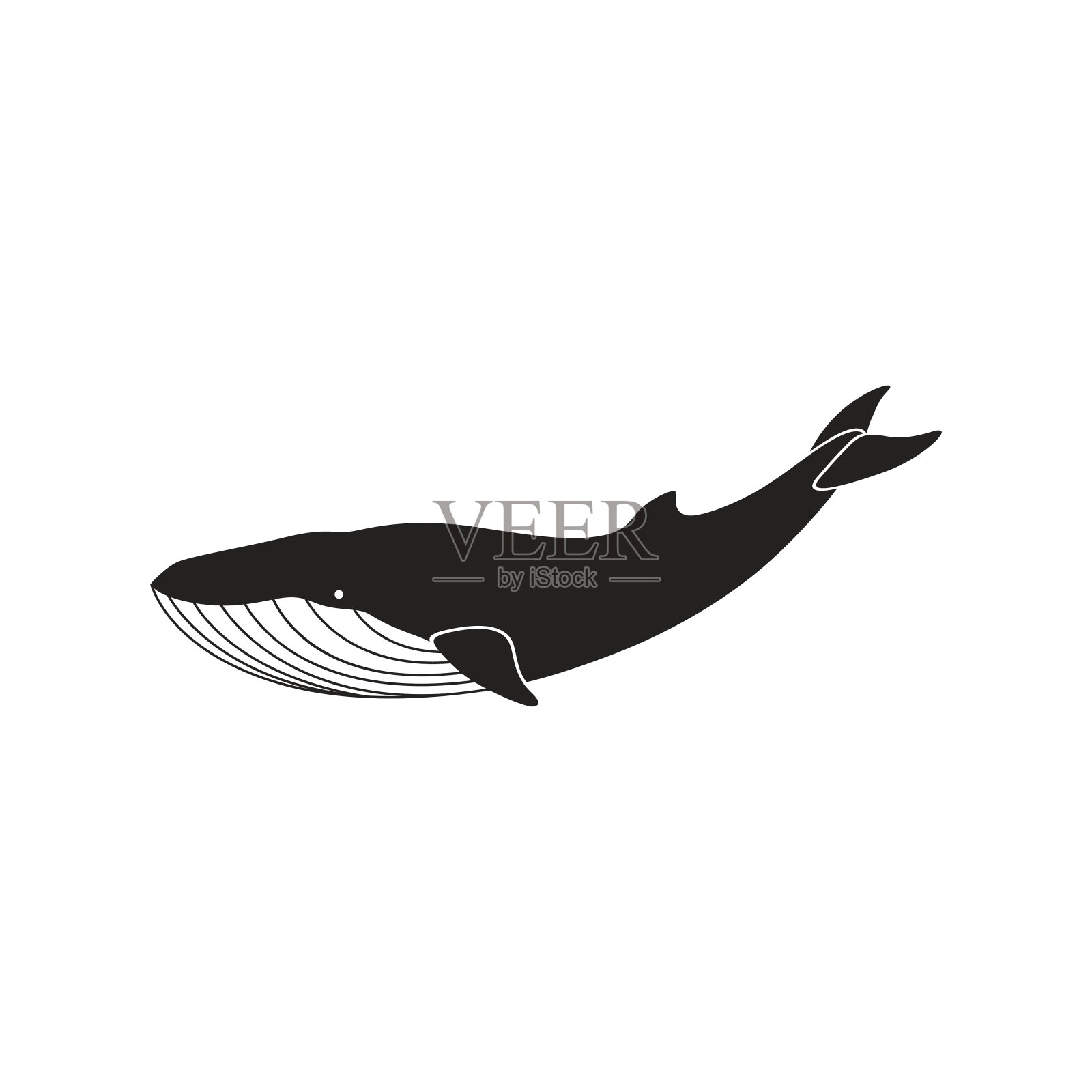 向量的鲸鱼设计元素图片