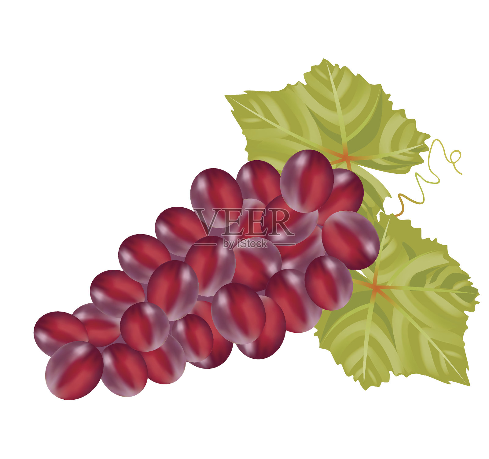 白色背景上的葡萄设计元素图片