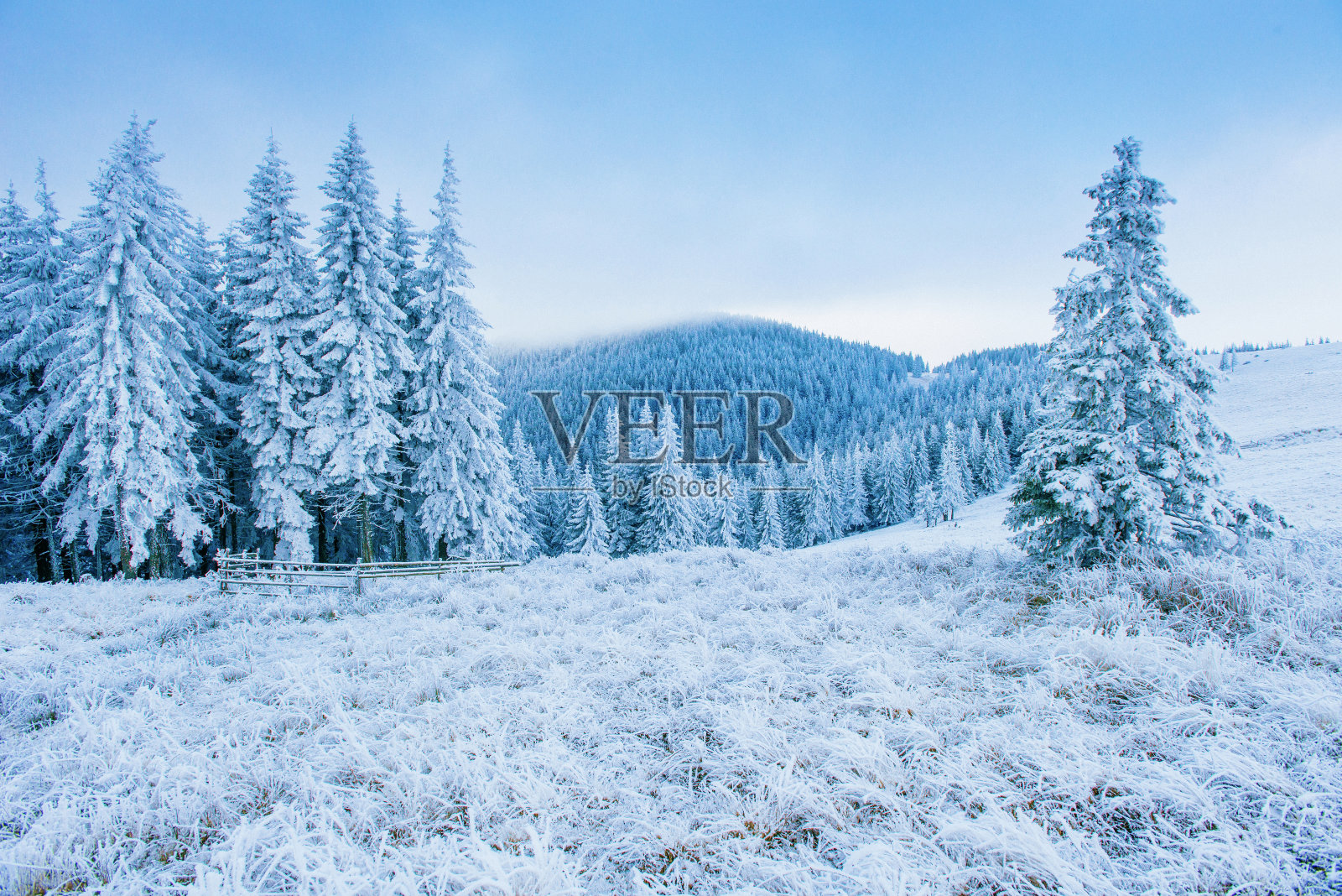 冬季山区的霜冻照片摄影图片