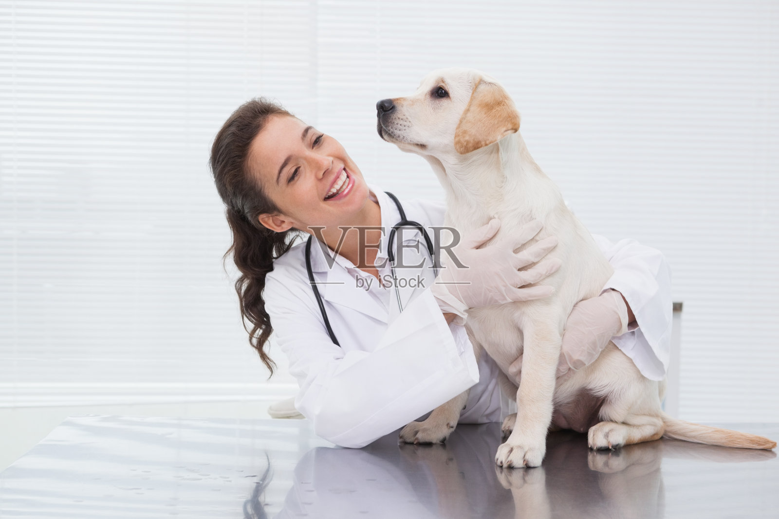 微笑的兽医检查一只可爱的狗照片摄影图片