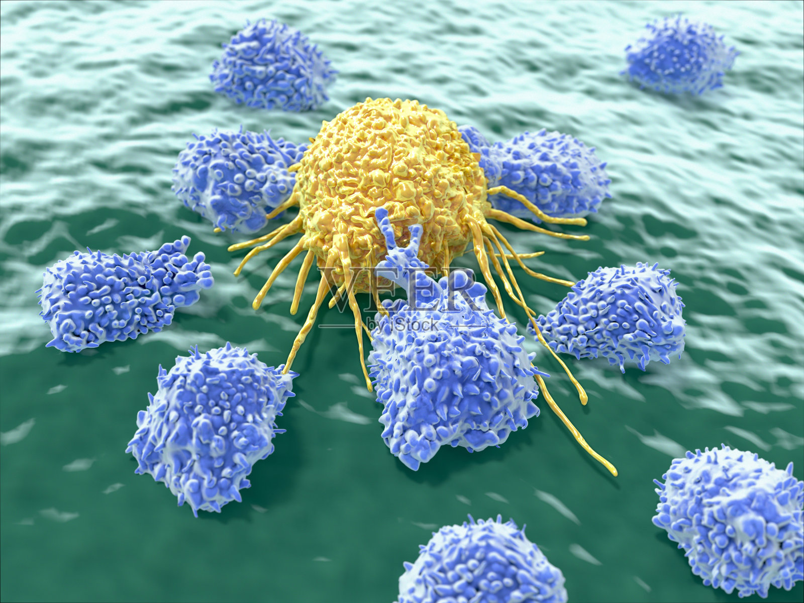 淋巴细胞攻击癌细胞照片摄影图片