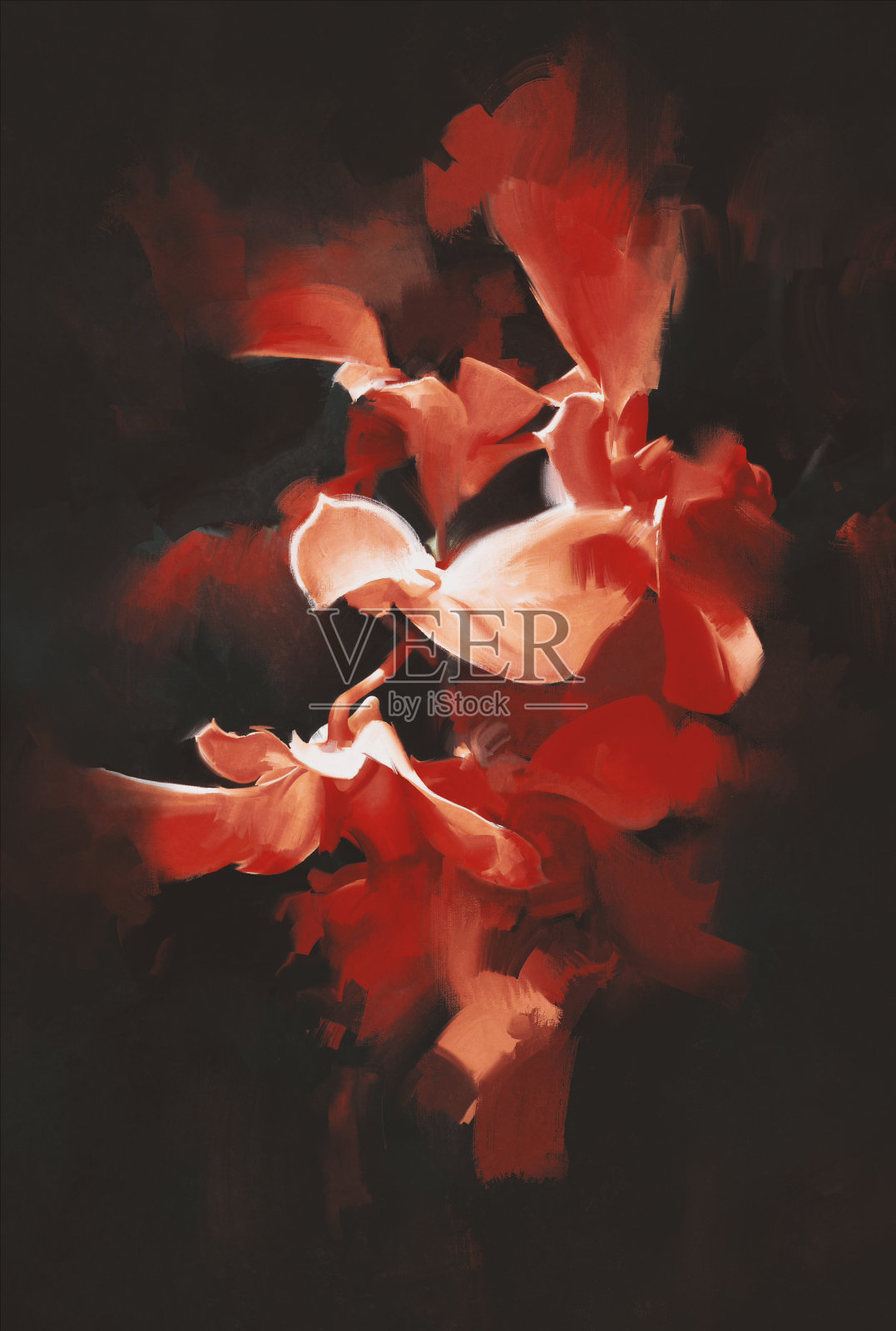 红色的花在黑暗的背景插画图片素材