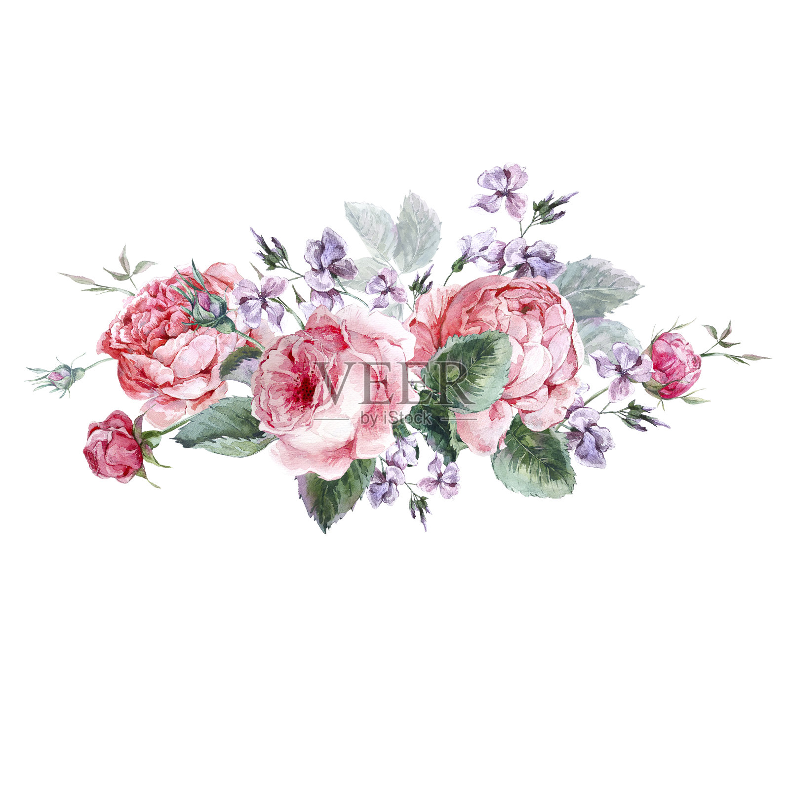 经典复古鲜花贺卡，水彩花束的英国玫瑰插画图片素材