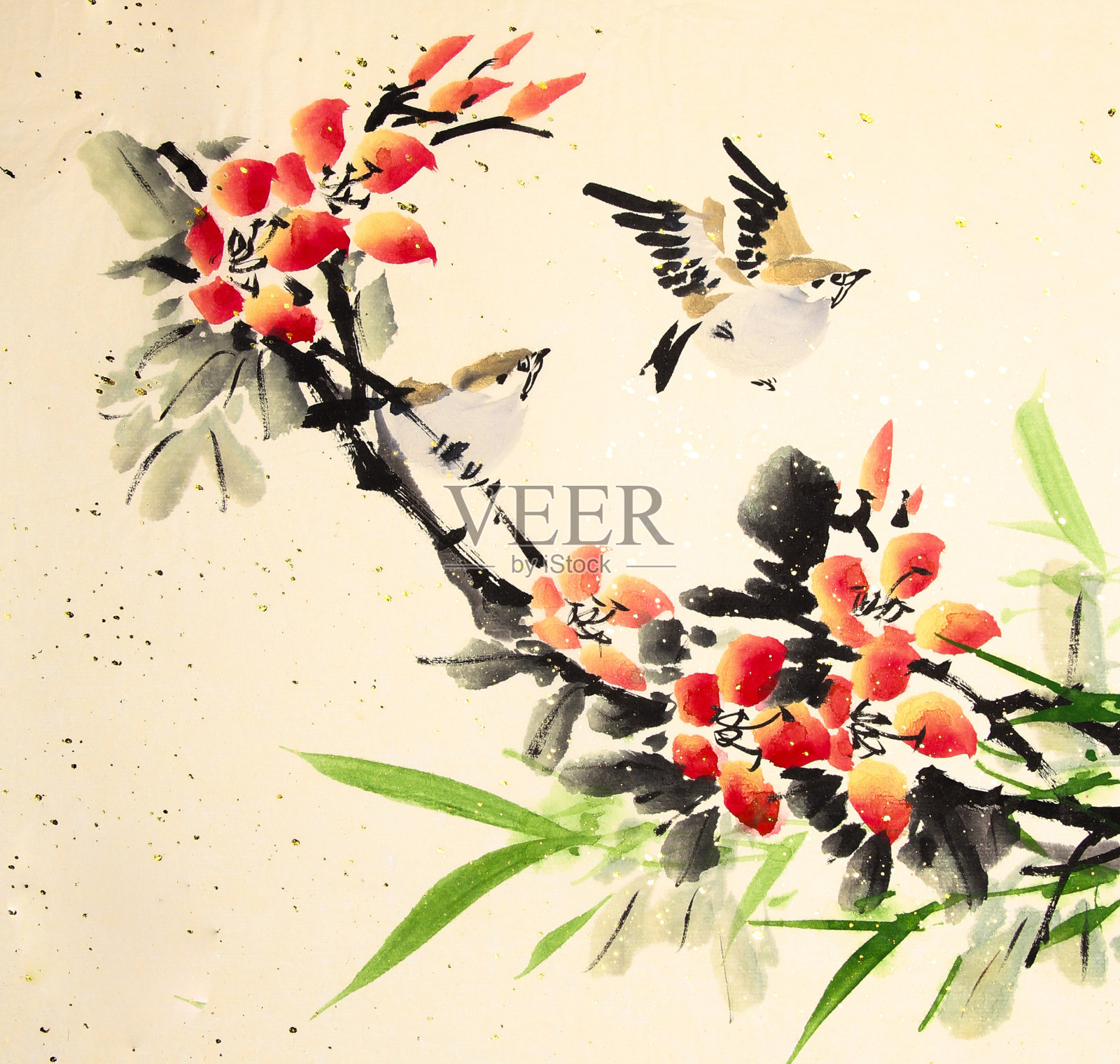 中国水墨画鸟和植物插画图片素材