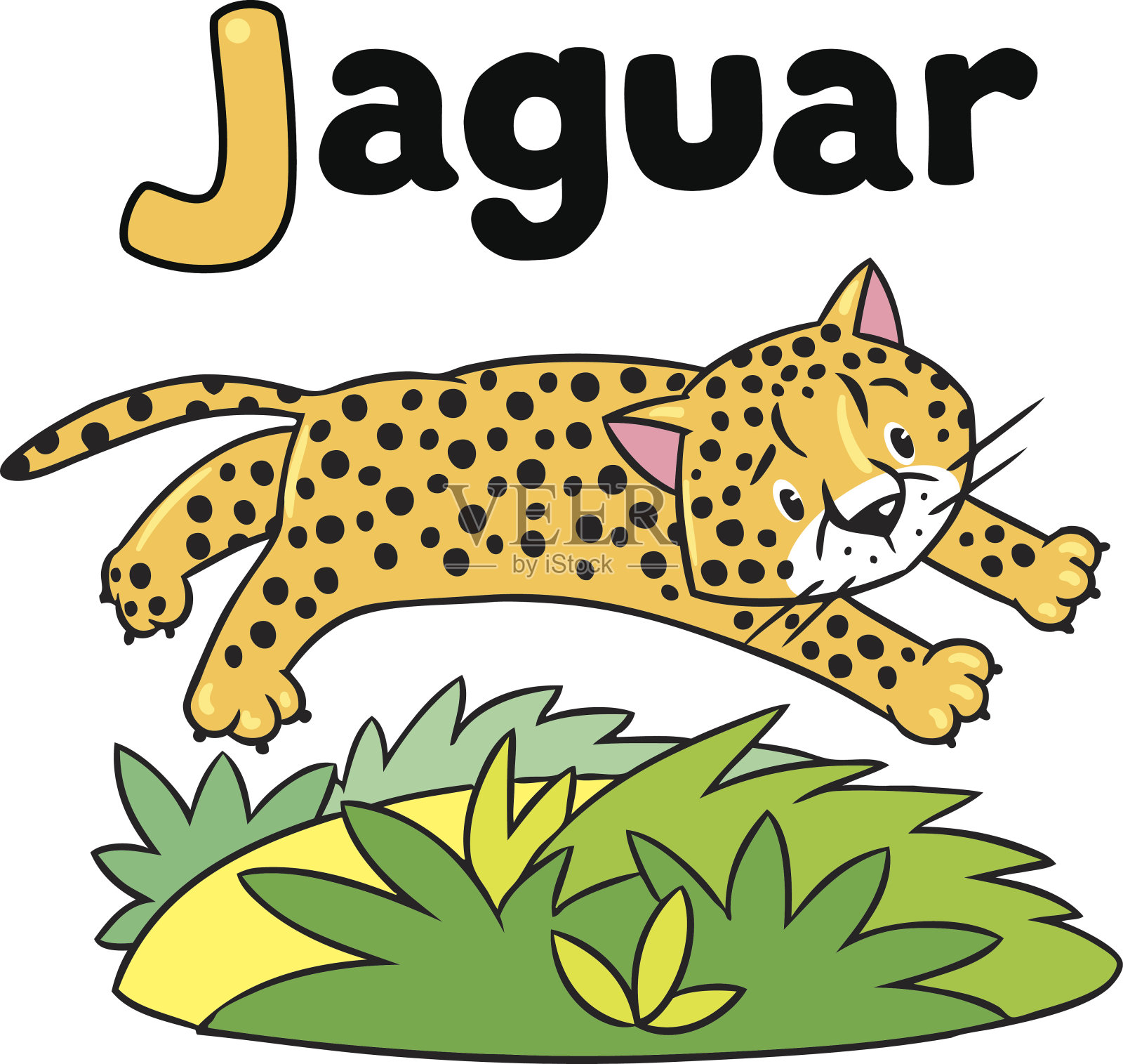 ABC的小猎豹或美洲虎。字母J设计元素图片