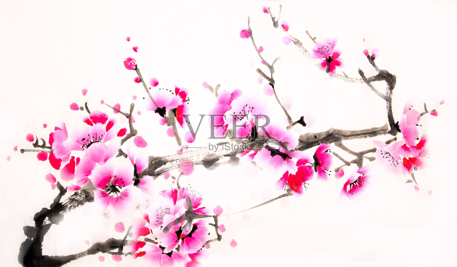 中国传统水墨樱桃画插画图片素材