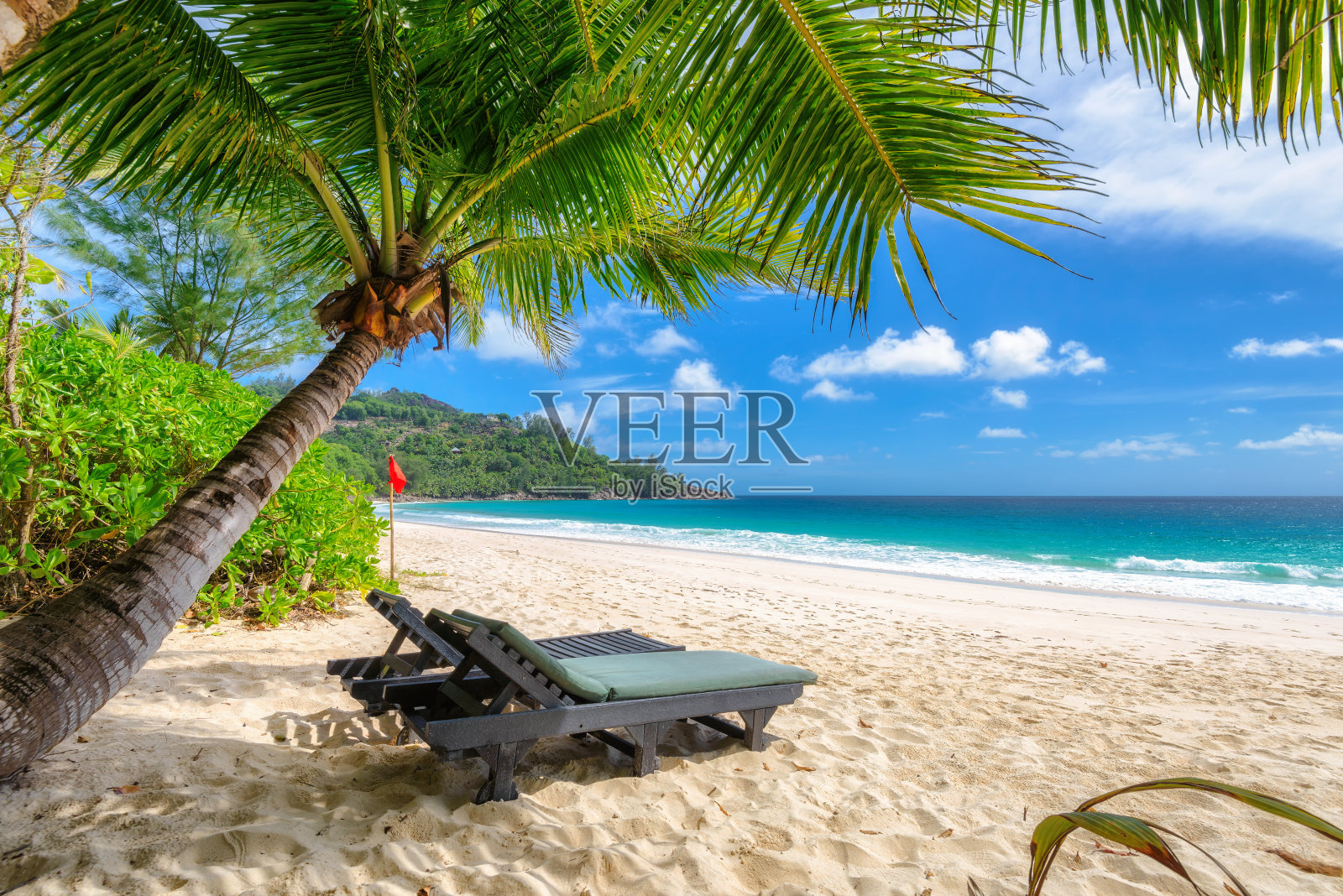 塞舌尔美丽沙滩上棕榈下的沙滩椅照片摄影图片