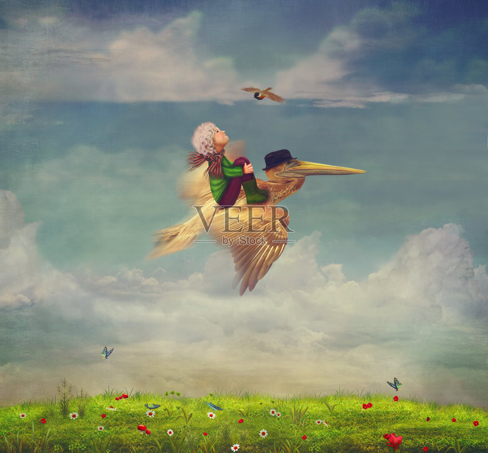 男孩和褐鹈鹕在天空中飞翔插画图片素材