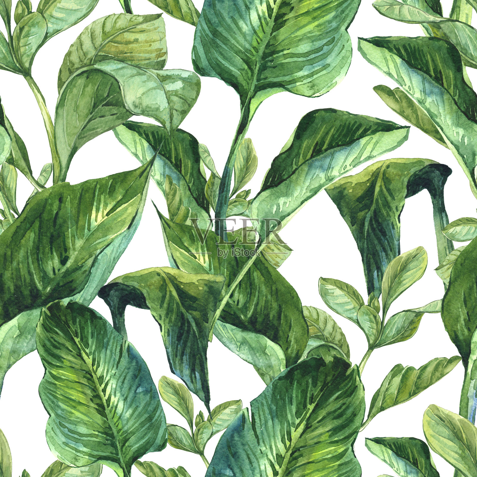 水彩无缝背景与热带树叶插画图片素材