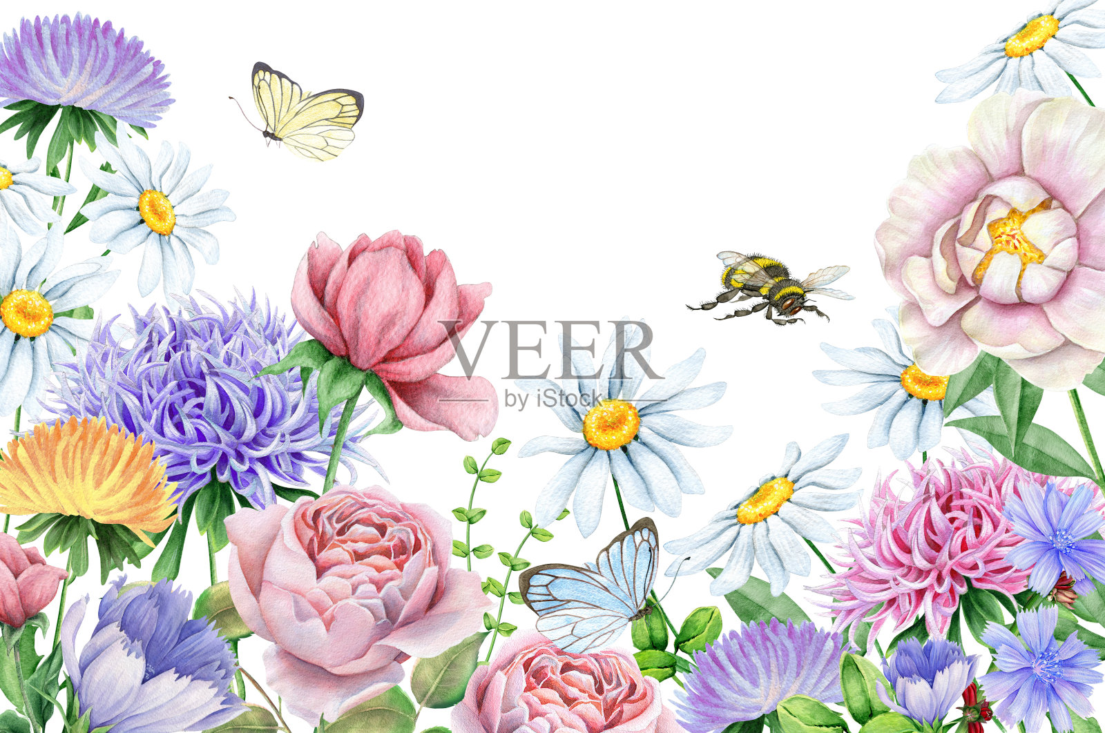 水乡花卉图像与美丽的花插画图片素材