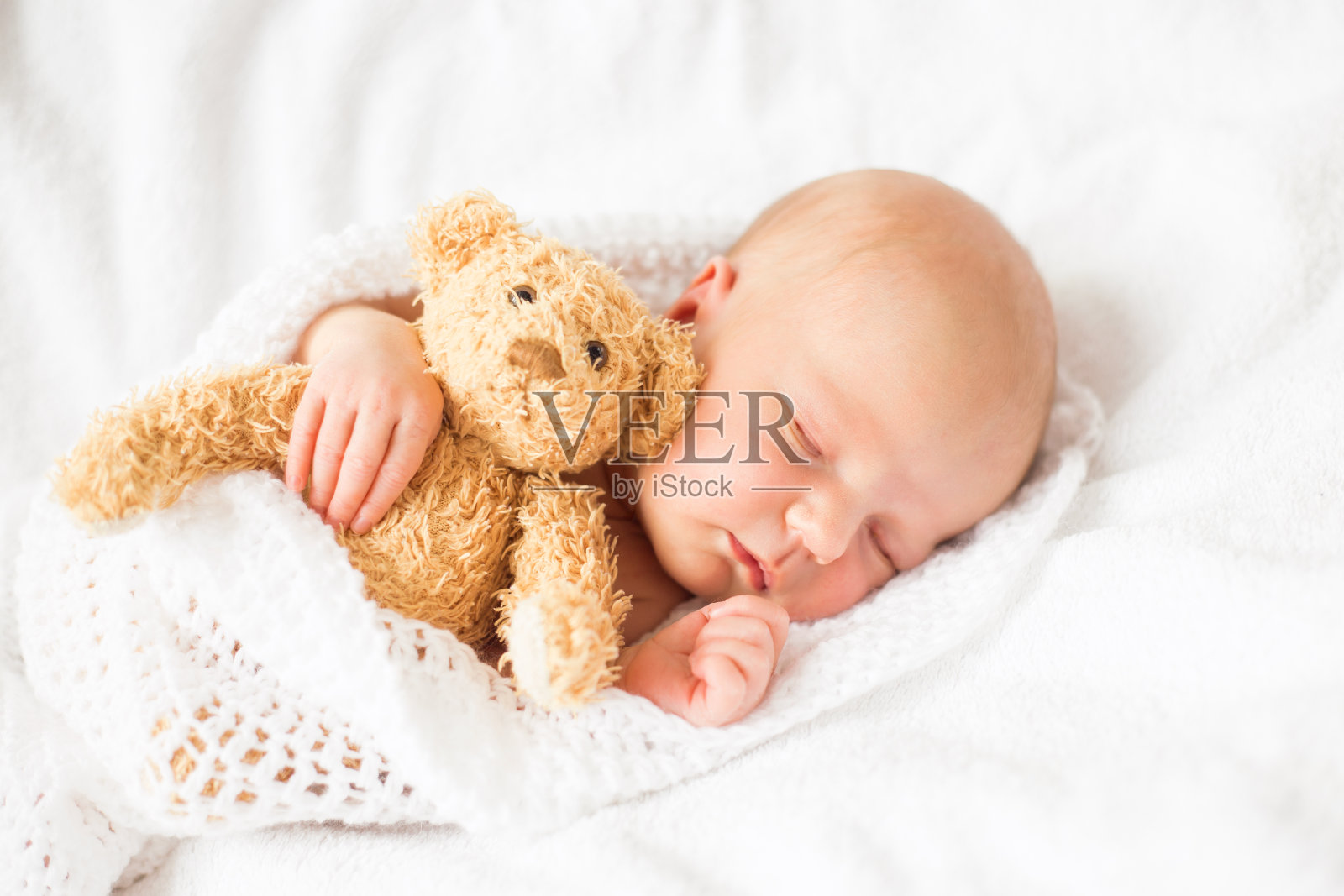 刚出生的女婴和泰迪熊一起睡觉照片摄影图片