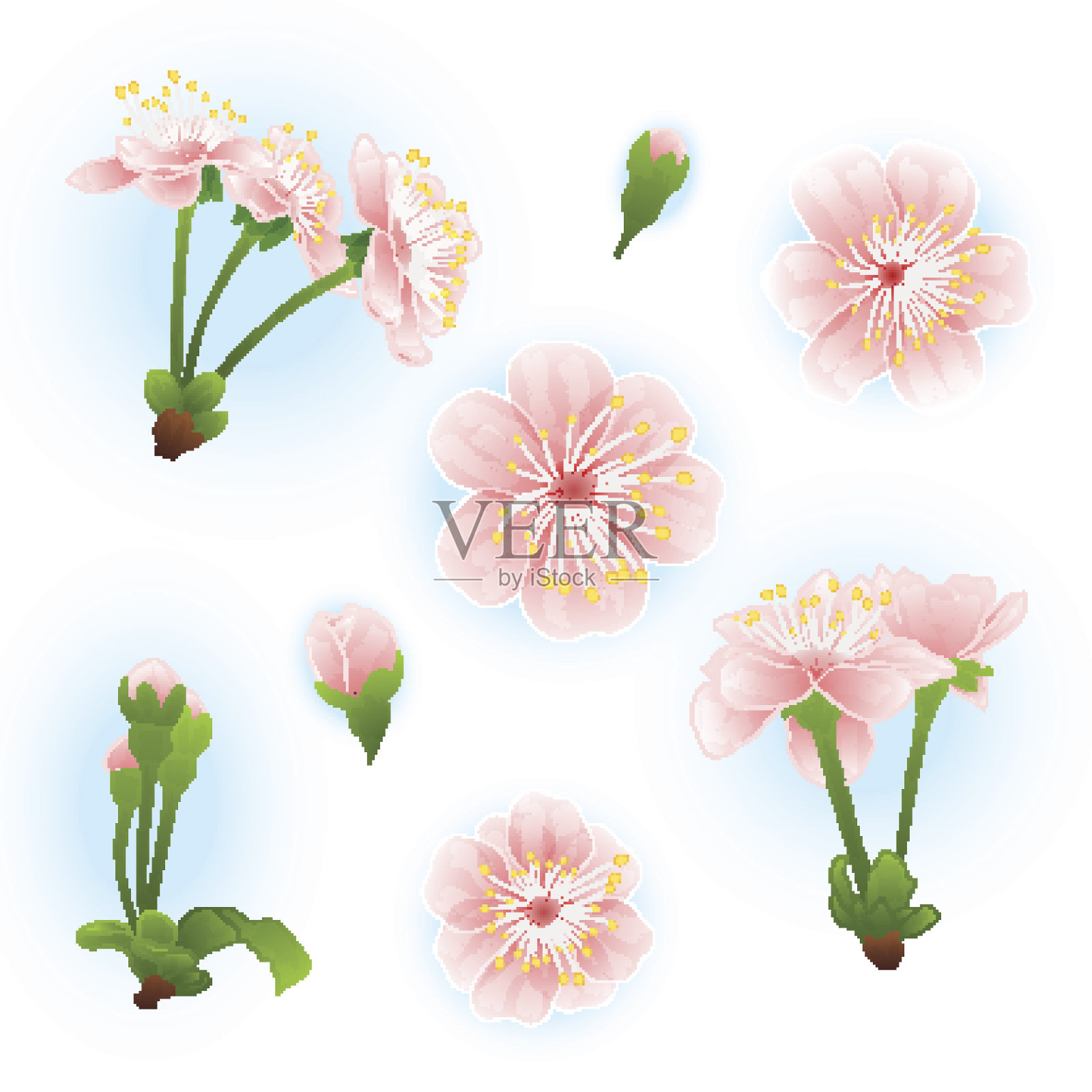 花的春天背景与粉红色樱花盛开插画图片素材