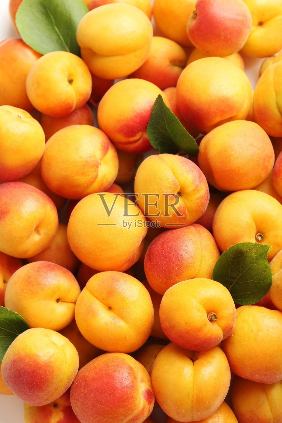 成熟的杏子果实背景照片摄影图片