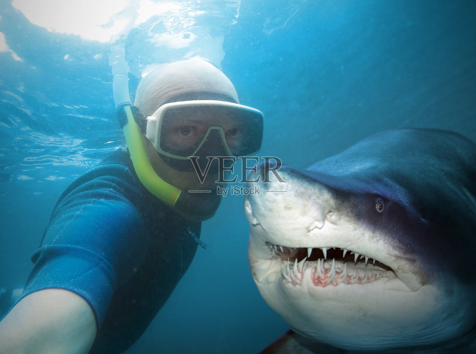 潜水员和鲨鱼。照片摄影图片