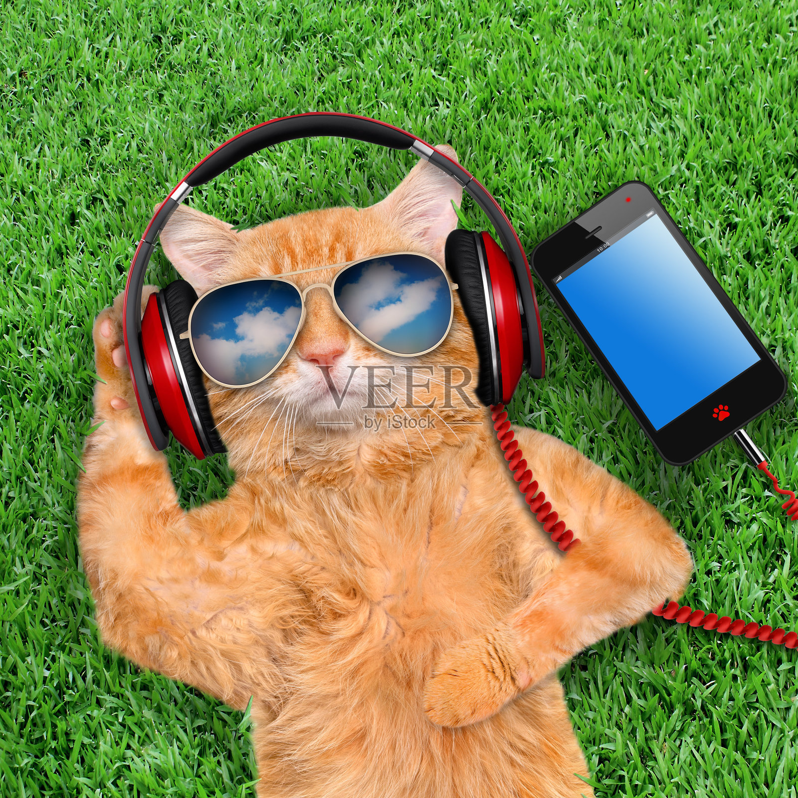 猫戴着耳机戴着太阳镜在草地上放松。照片摄影图片