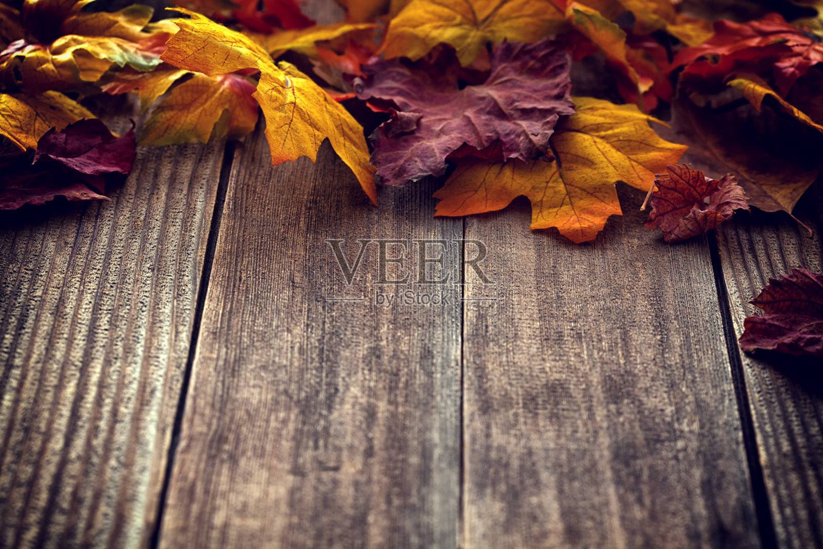 秋季背景与彩色的叶子在白色木板上照片摄影图片