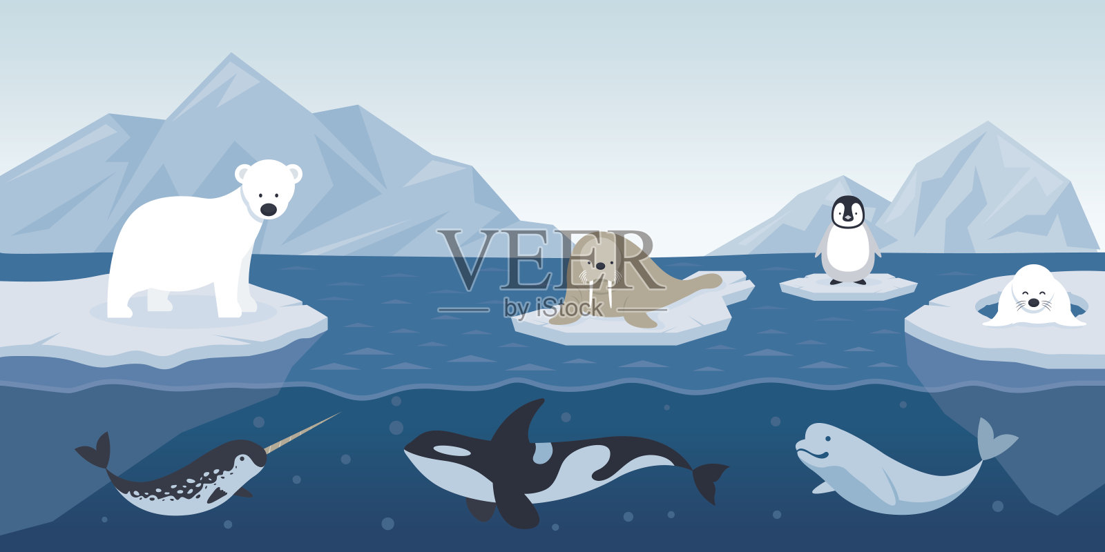 北极动物的性格和背景插画图片素材