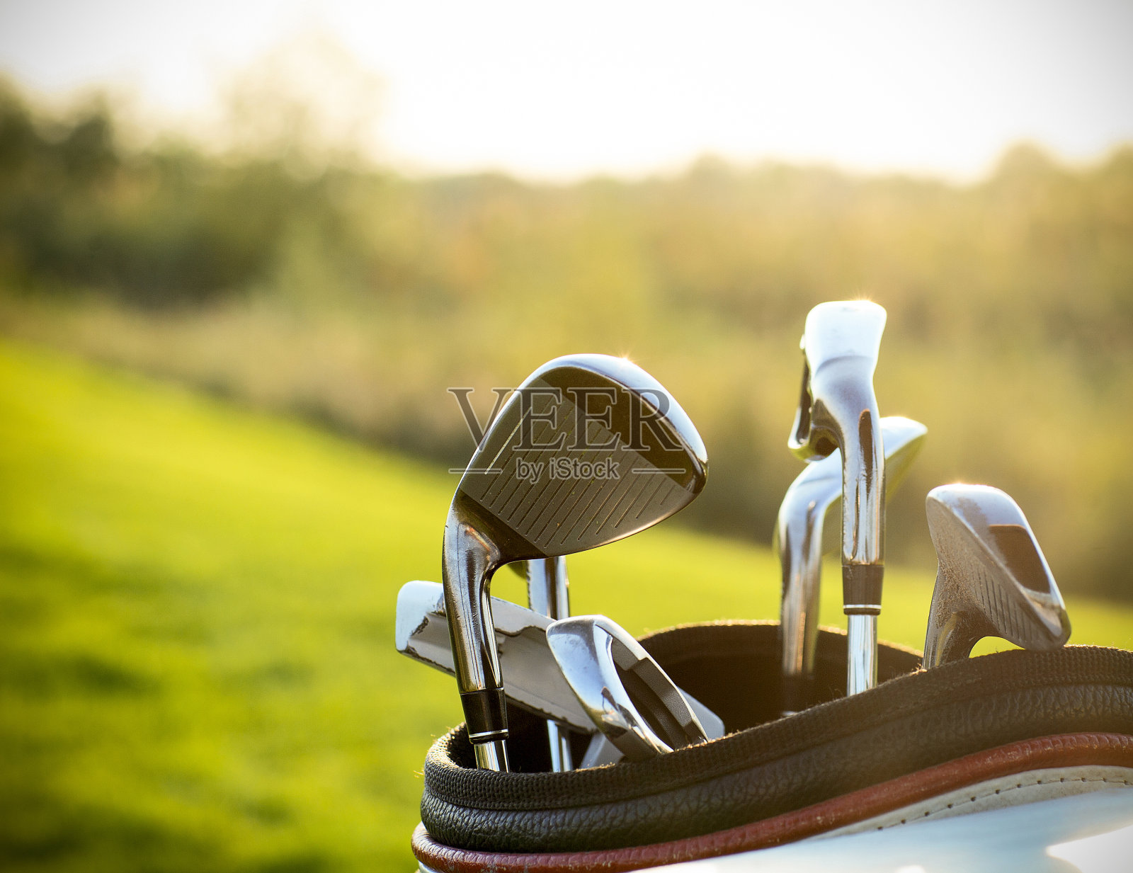 高尔夫俱乐部的司机在绿色的田野背景照片摄影图片