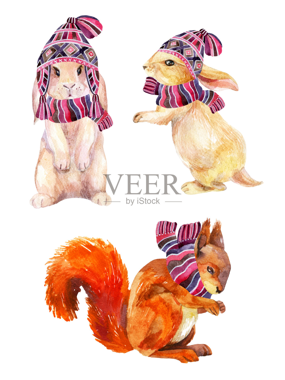 兔子和松鼠戴着冬天的帽子和围巾插画图片素材