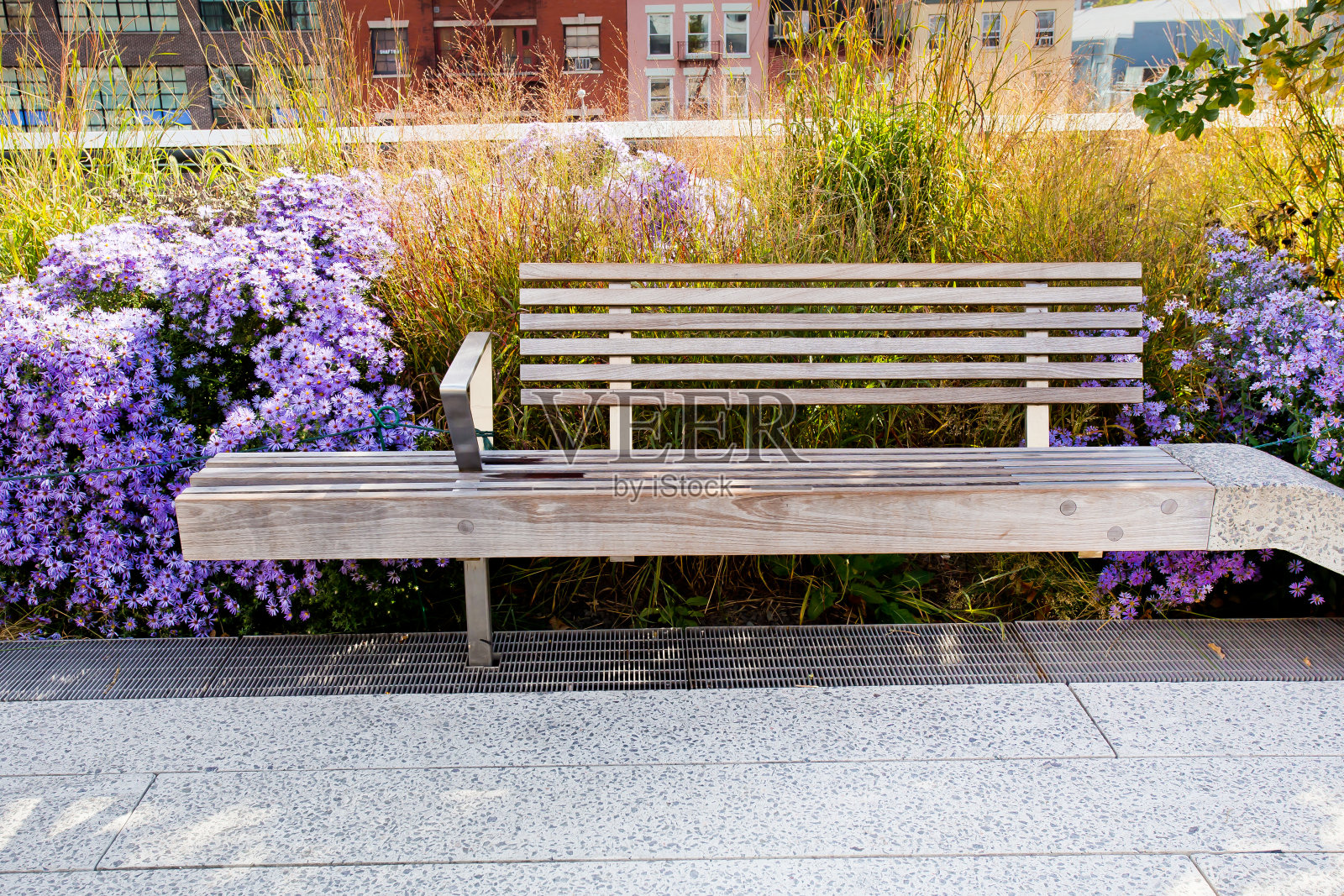 纽约高线公园长椅照片摄影图片