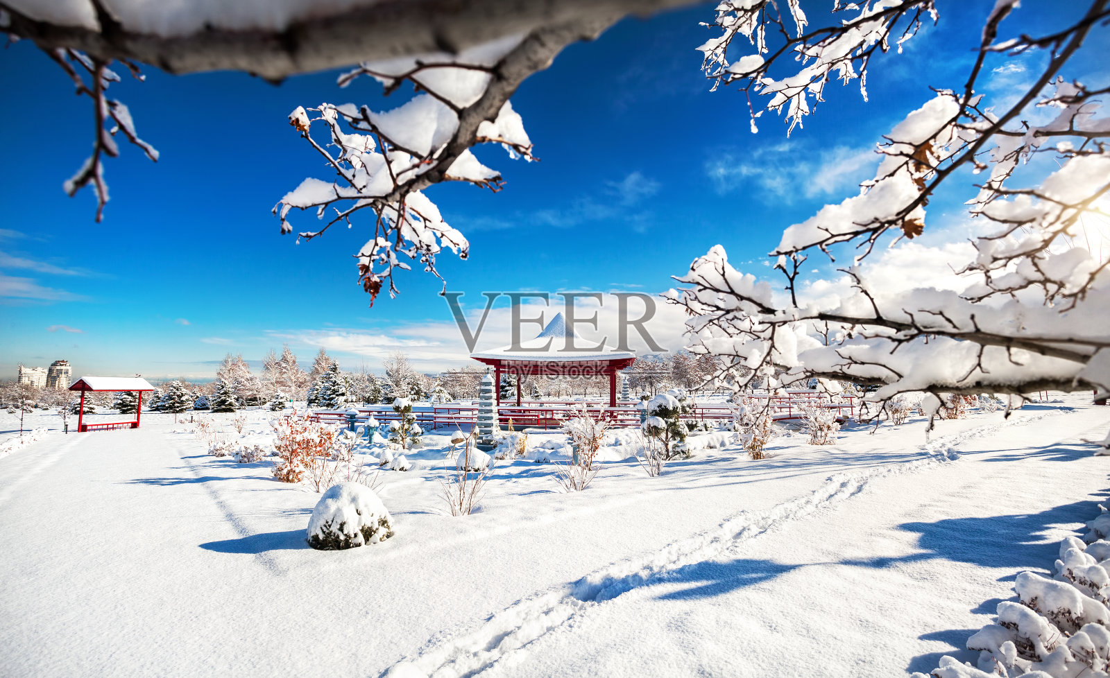 冬季日本花园在阿拉木图照片摄影图片