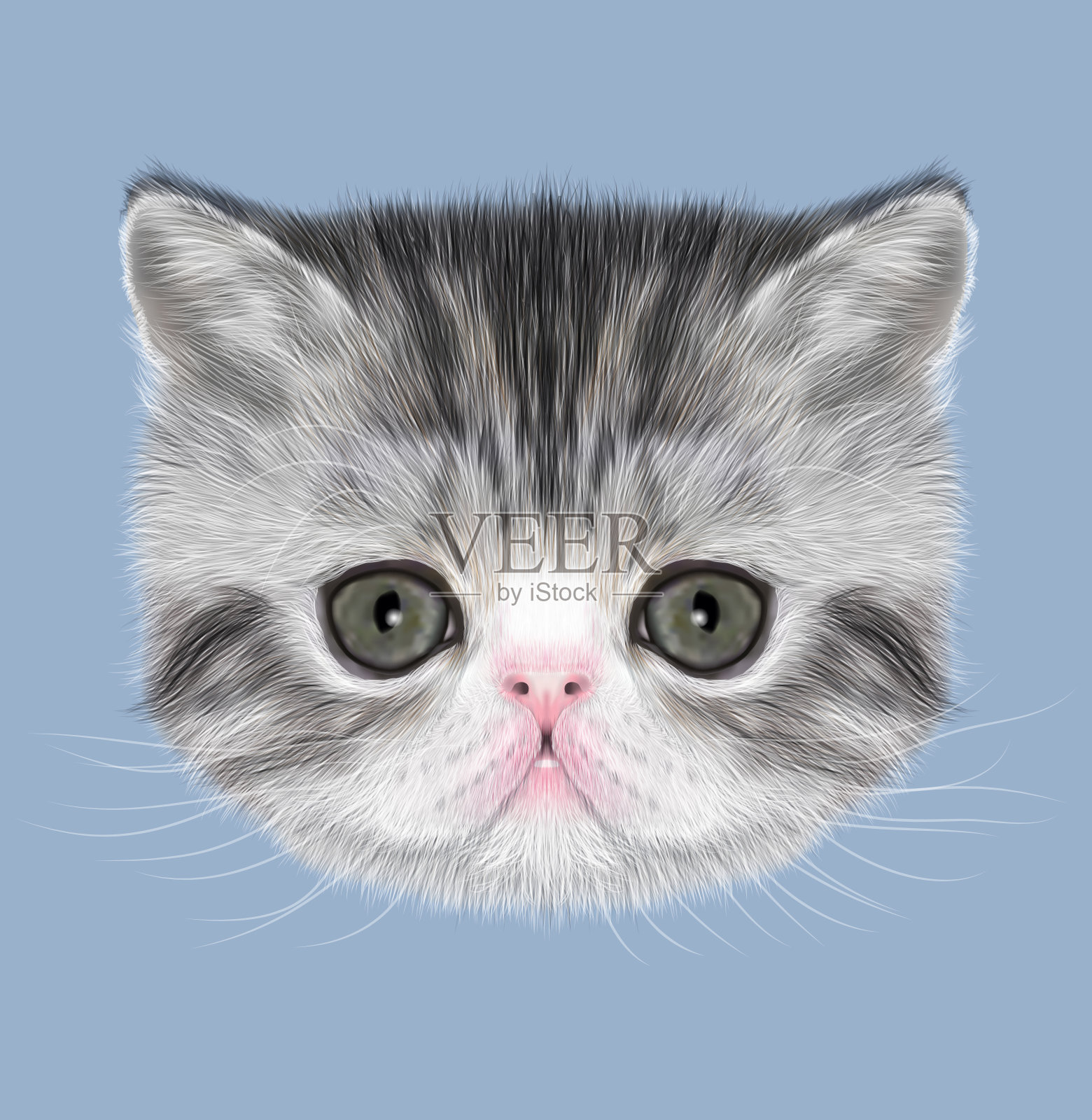 异国短毛猫的小猫设计元素图片