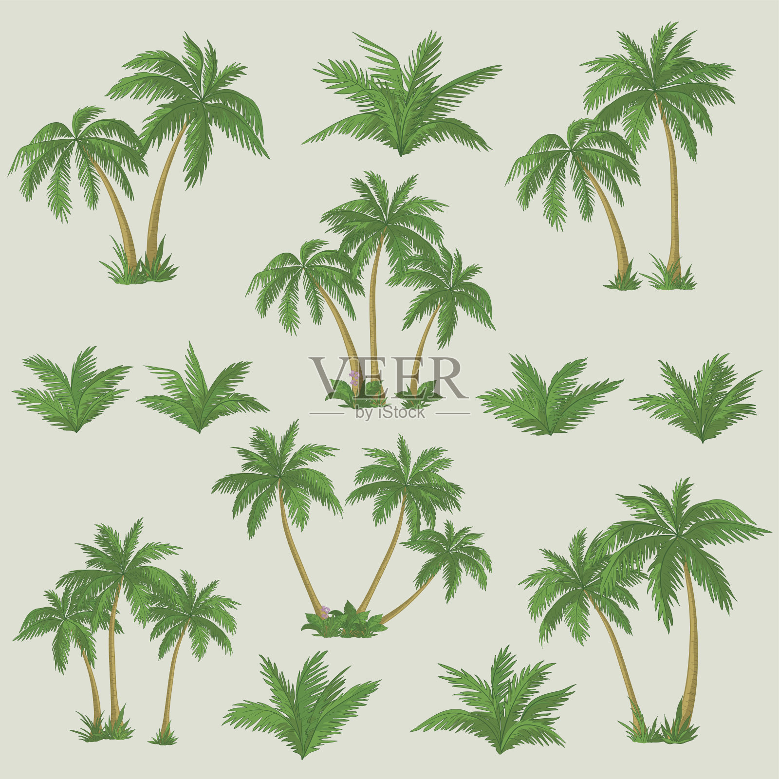 热带棕榈树设计元素图片