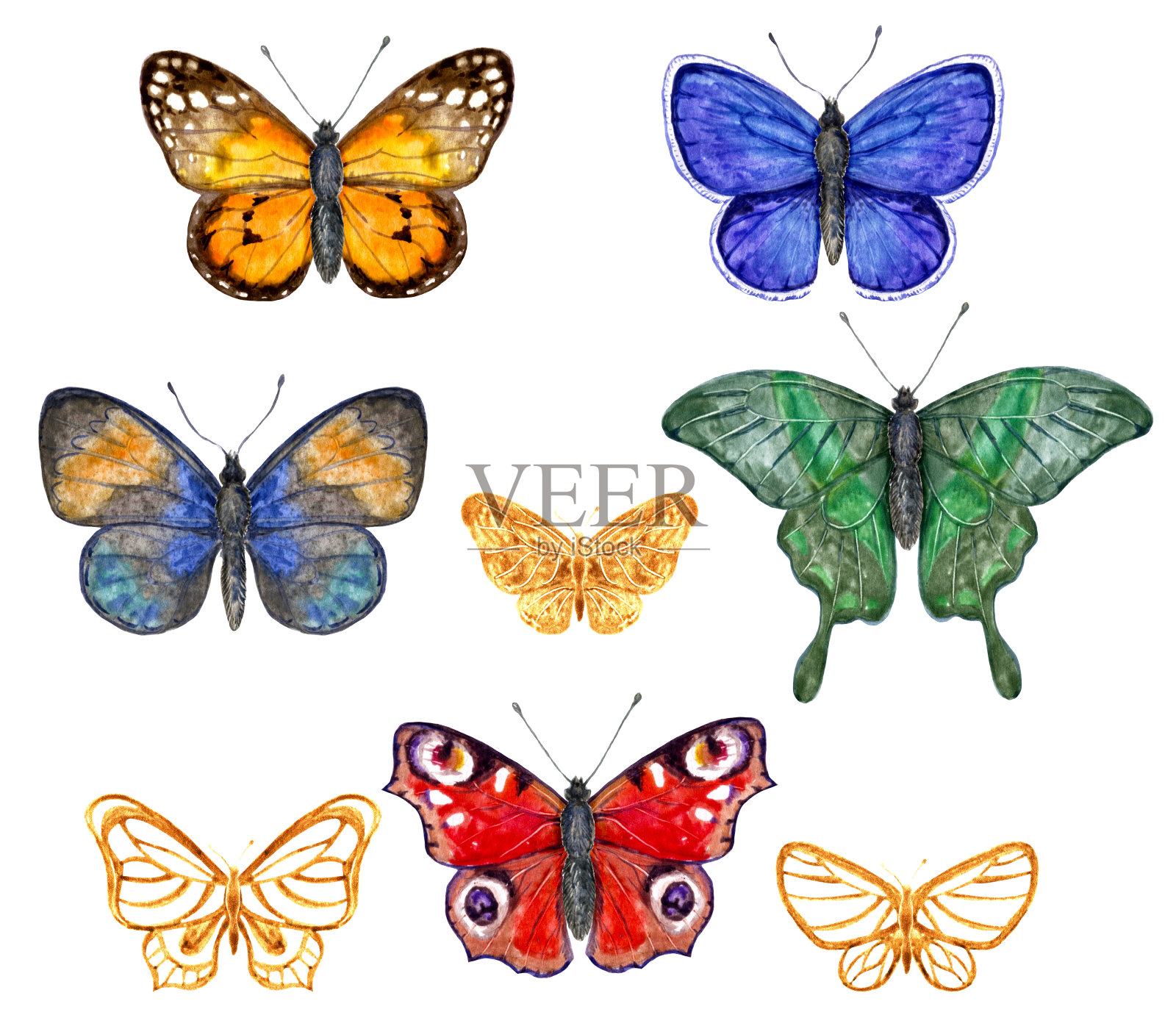 彩色的蝴蝶组设计元素图片