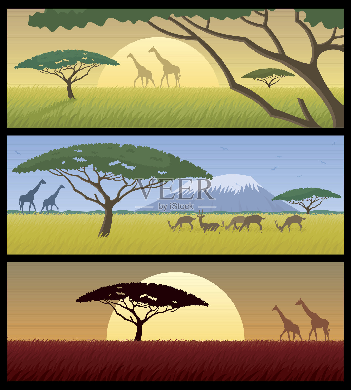 非洲风景插画图片素材