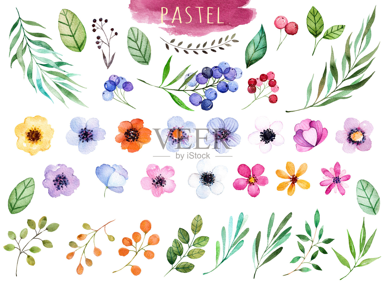 色彩斑斓的花收集与多色的花插画图片素材
