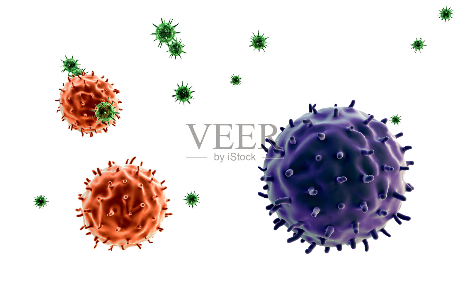 淋巴细胞和病毒照片摄影图片