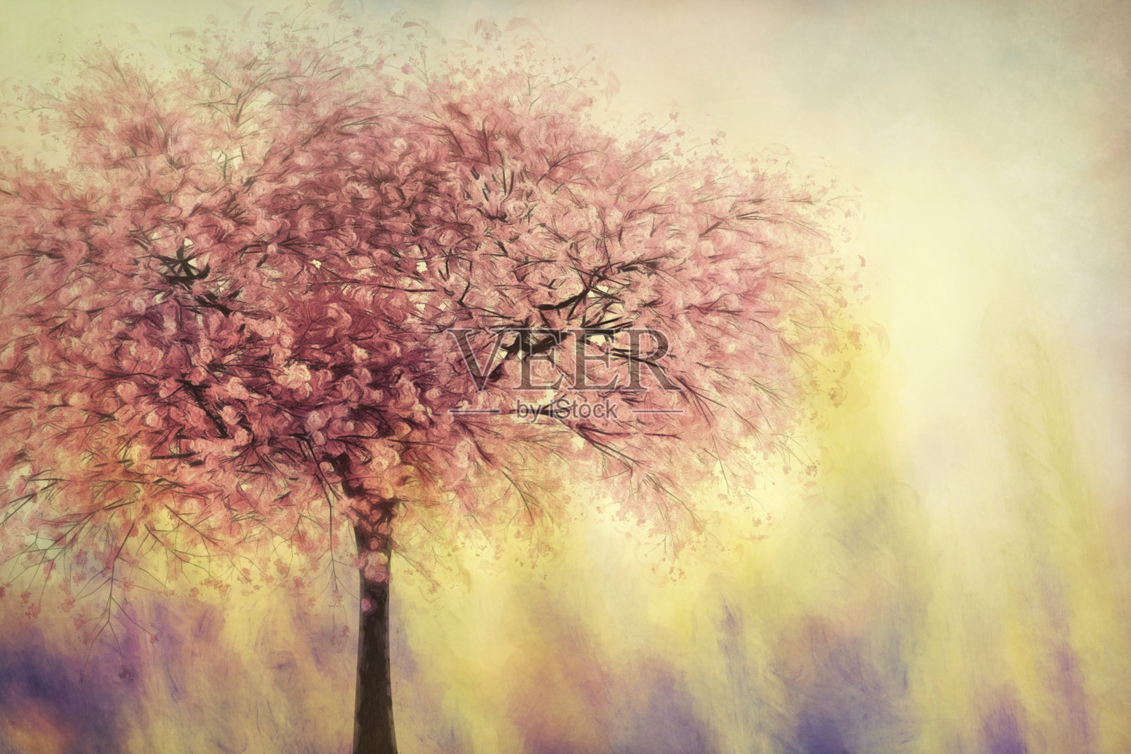 数码艺术，油漆纹理效果，樱花树插画图片素材