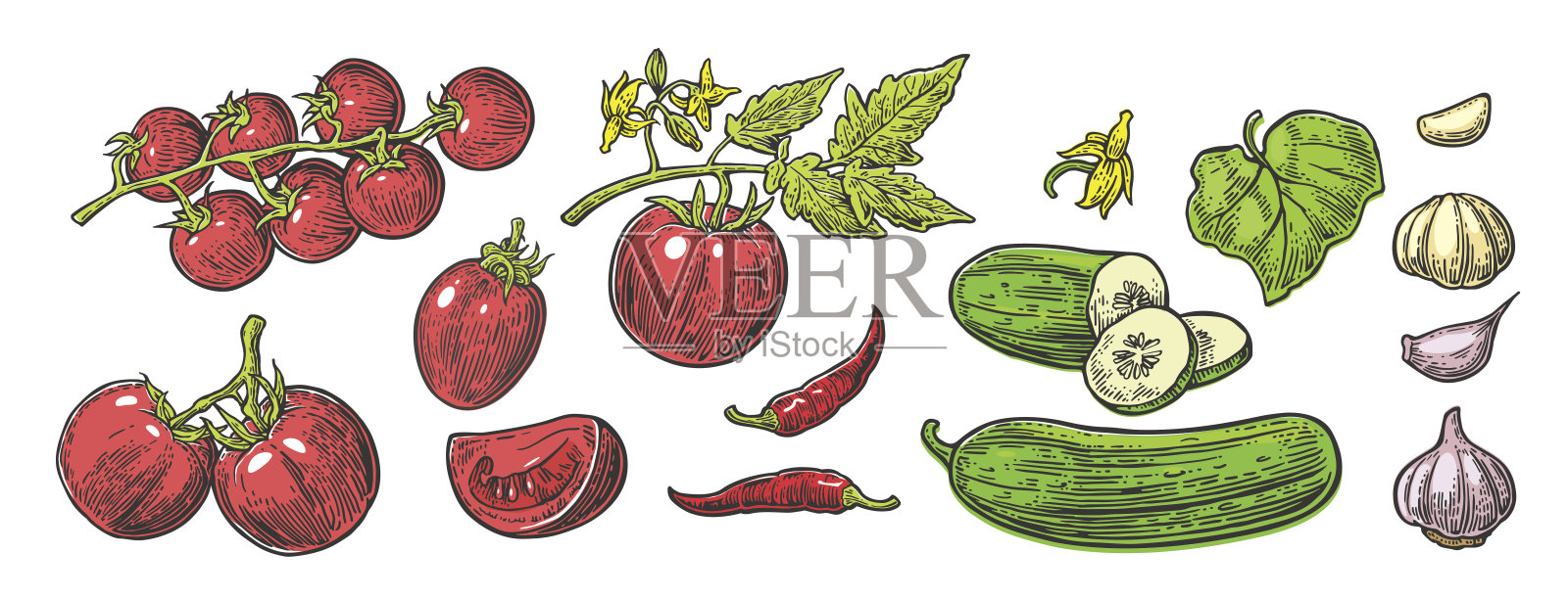 黄瓜，大蒜，辣椒，番茄，整片，半片，切片，叶和花。插画图片素材