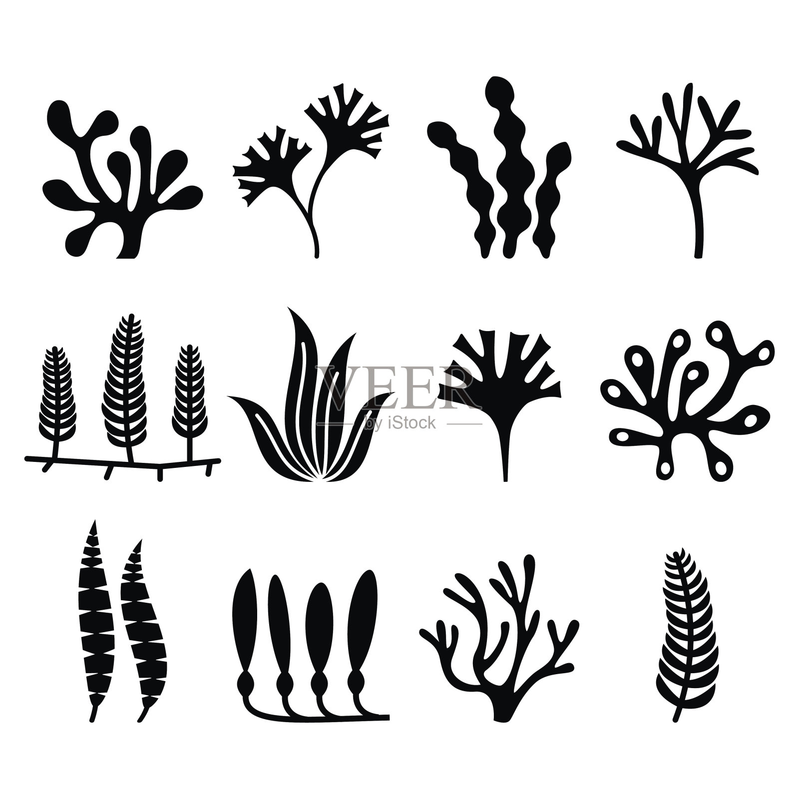 海藻图标集-自然，食物趋势概念插画图片素材