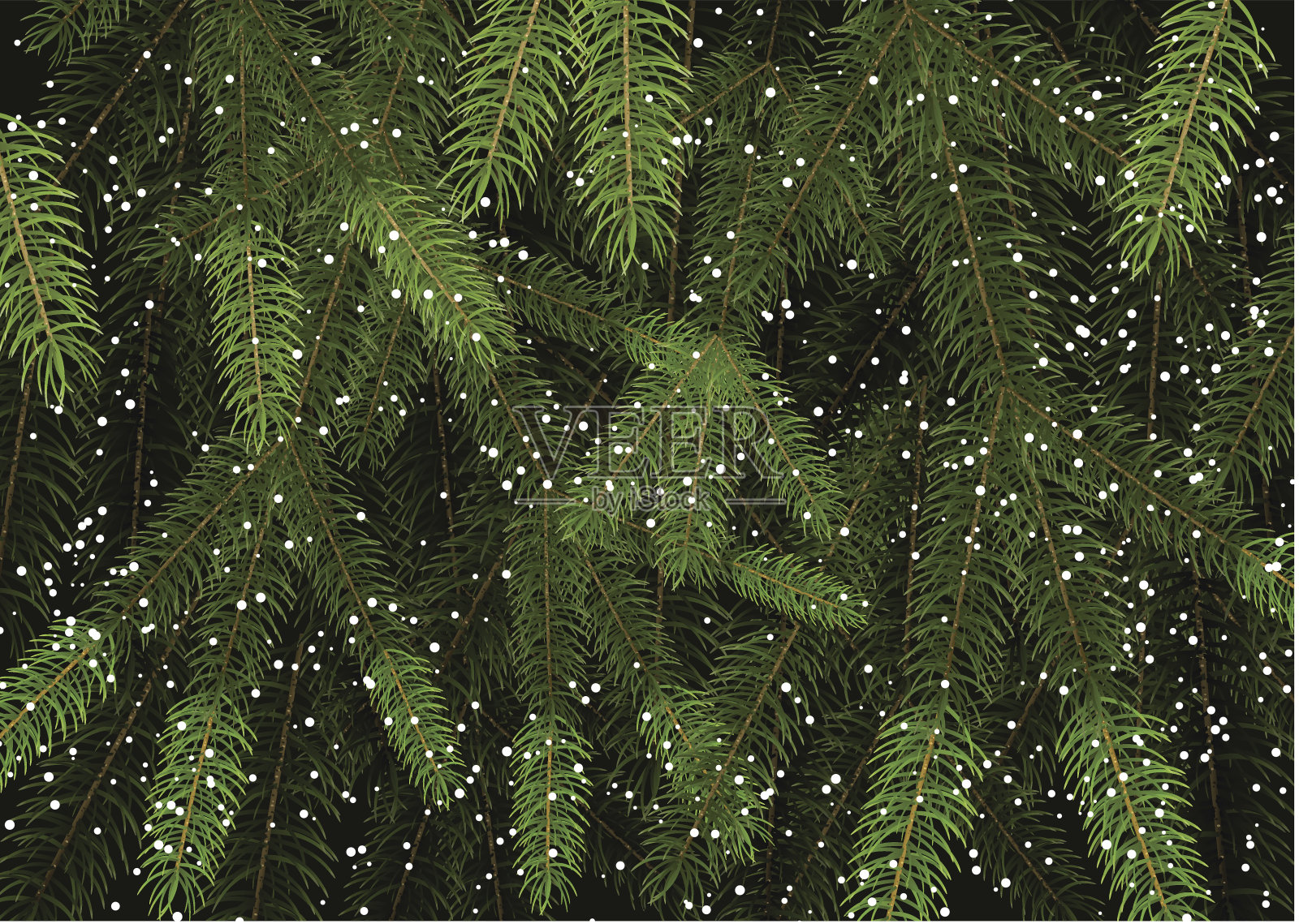 圣诞树树枝的背景插画图片素材