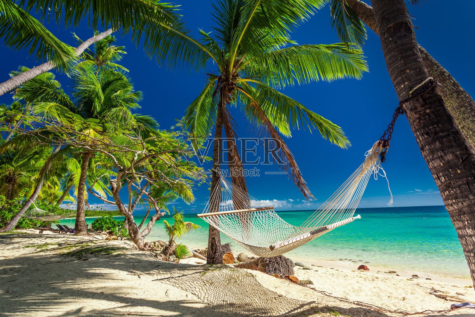 斐济，棕榈树树荫下的空吊床照片摄影图片