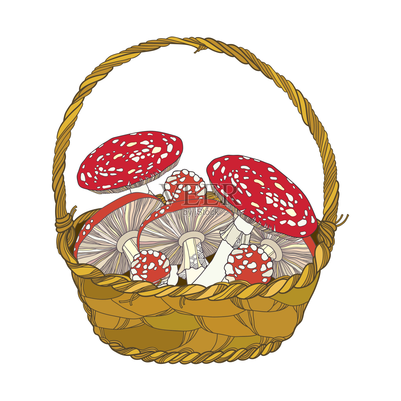 柳条篮子与鹅膏或蝇木耳分离蘑菇。插画图片素材