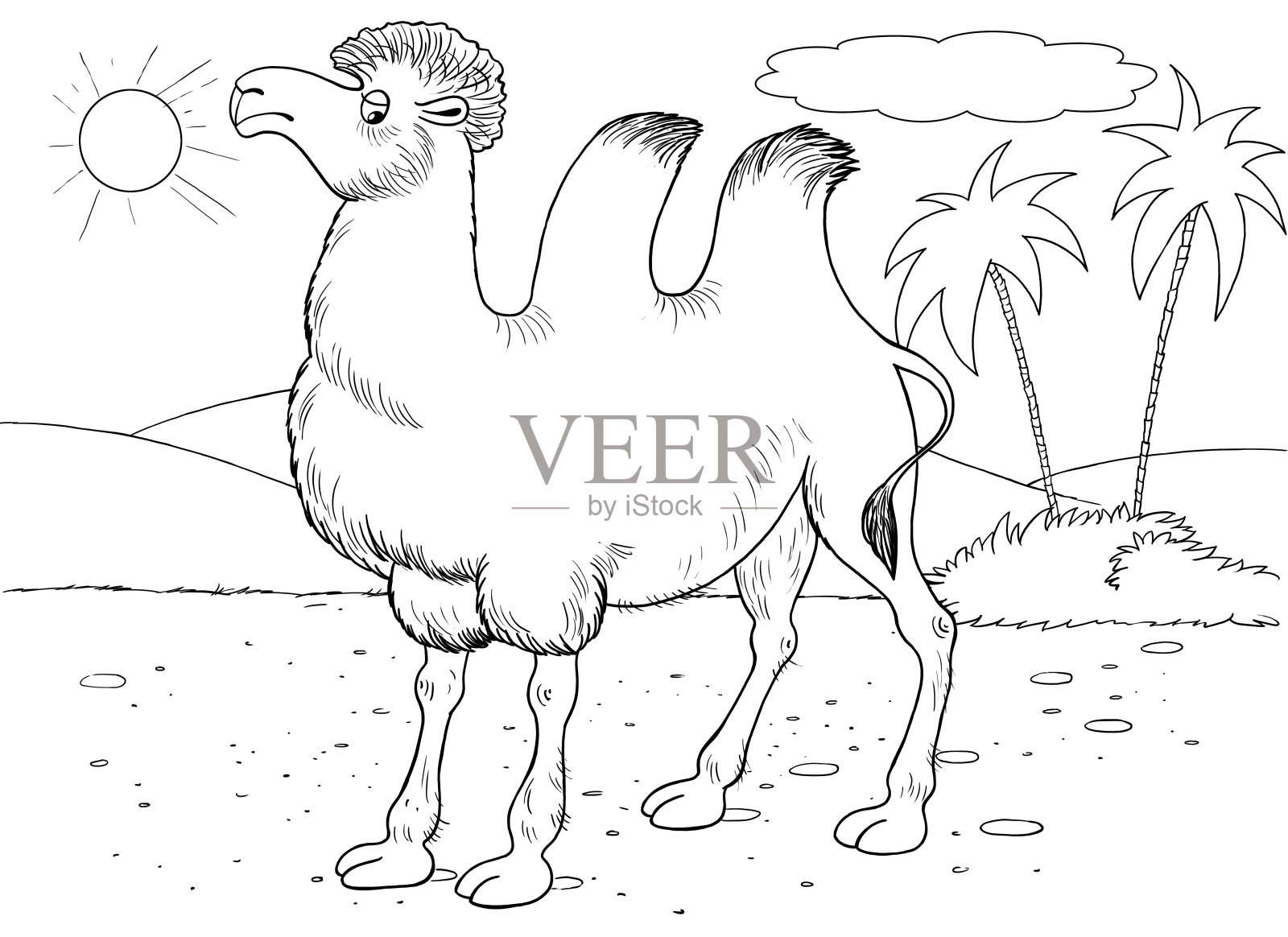 在动物园里。非洲动物。一只骆驼。对儿童插图。着色页面插画图片素材