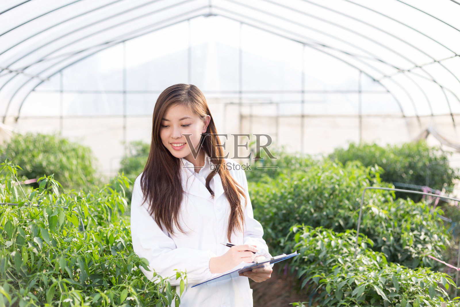 年轻的亚洲妇女在温室工作照片摄影图片