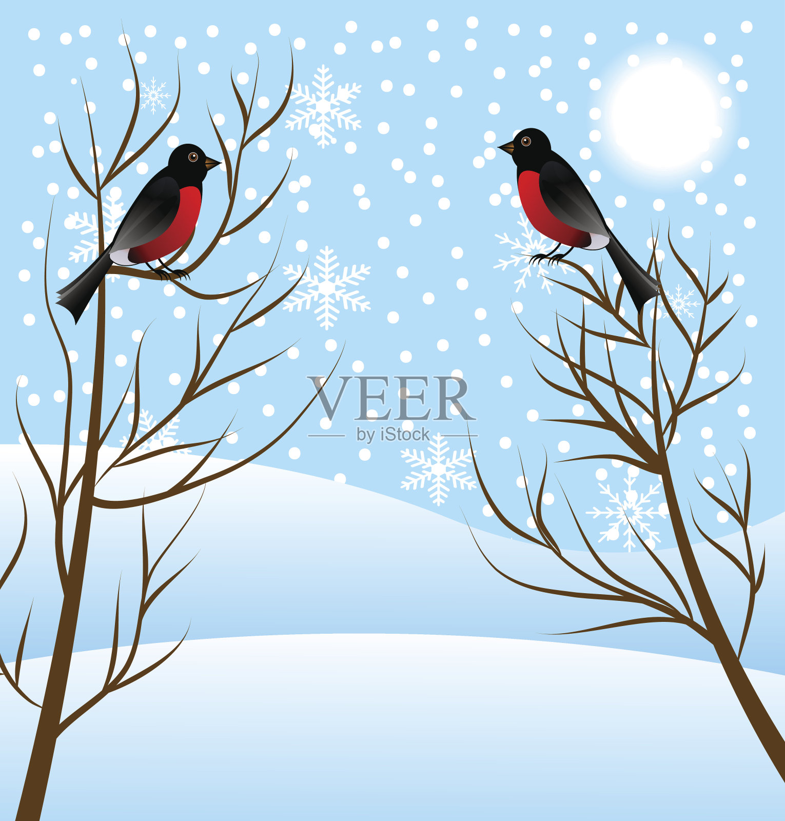 冬季景观鸟类红腹灰雀插画图片素材