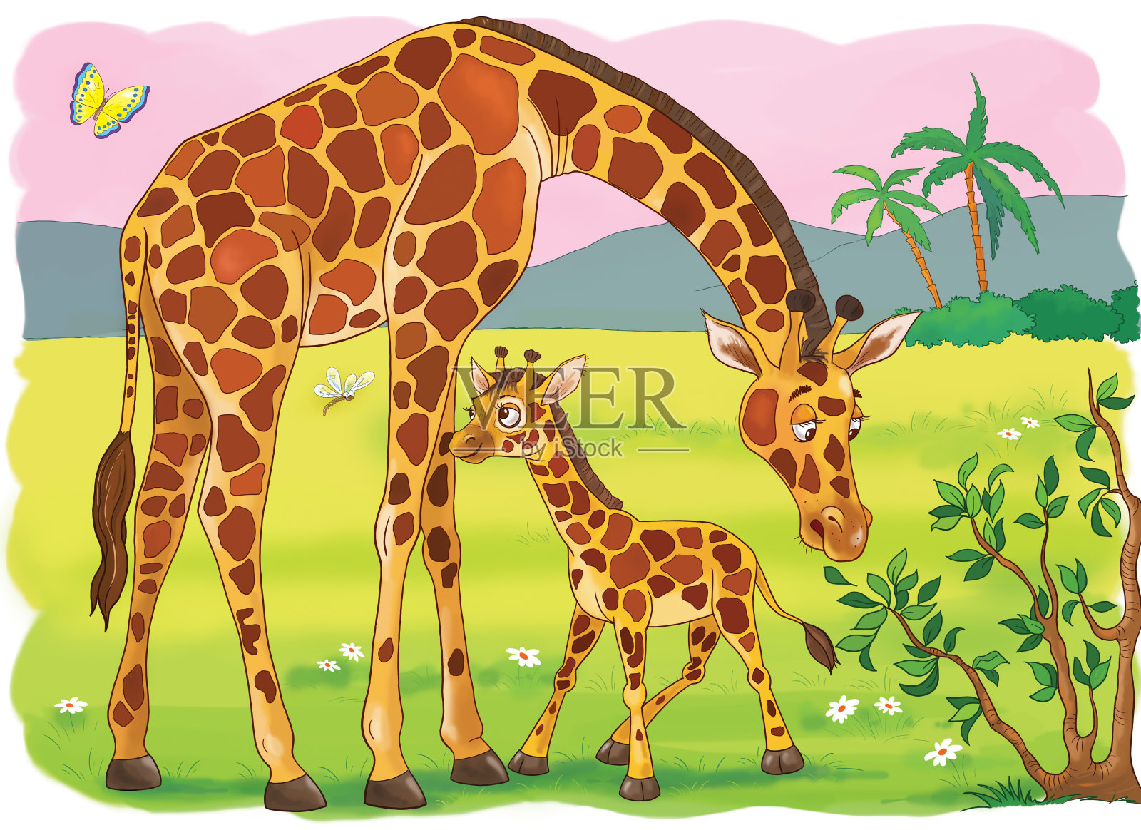 在动物园里。非洲动物。长颈鹿插画图片素材