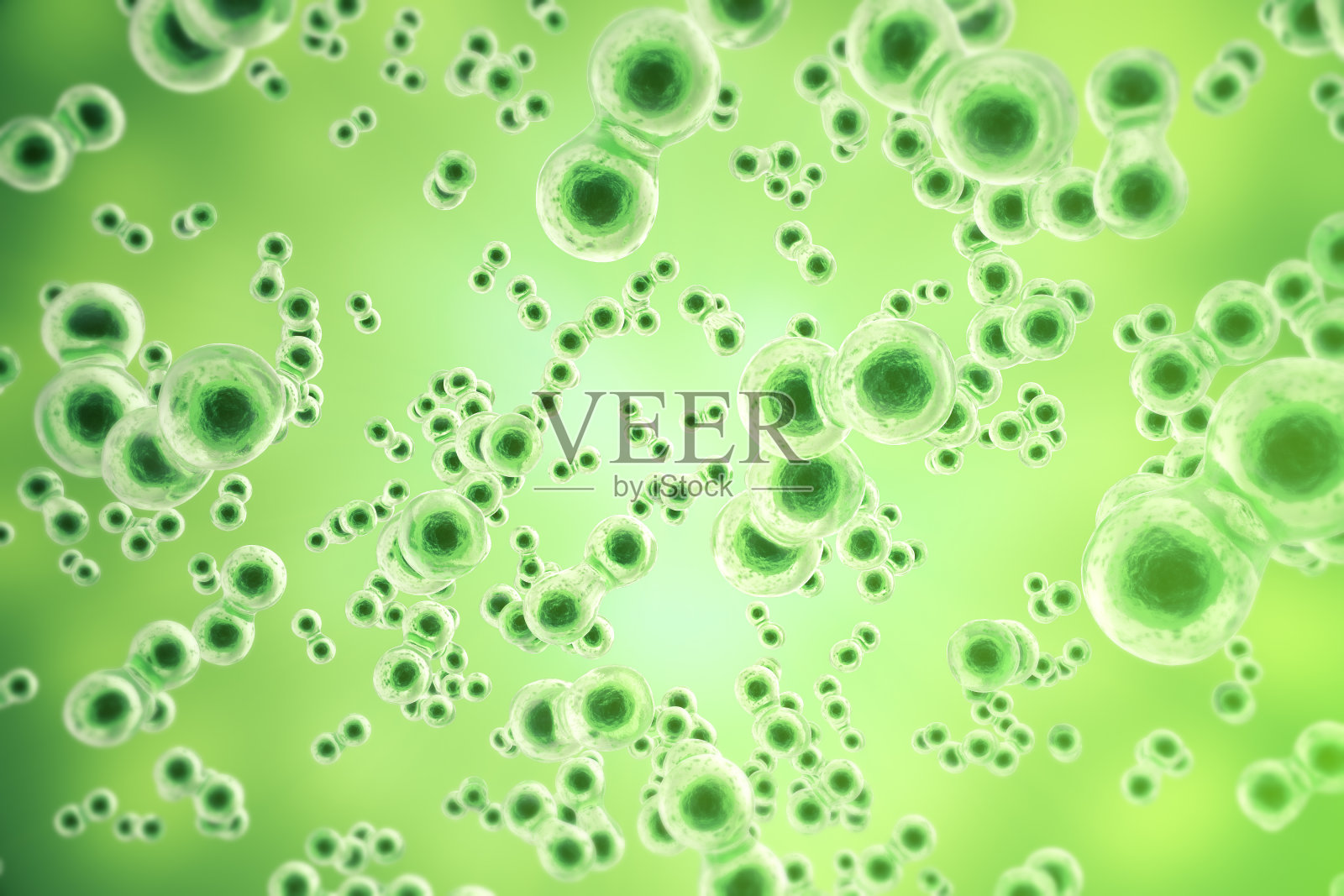 绿色单元格背景。生命生物学、医学科学、分子研究照片摄影图片