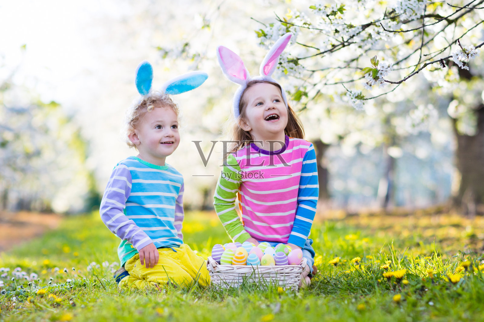 寻找复活节彩蛋。快乐的孩子和兔子耳朵在花园里。照片摄影图片