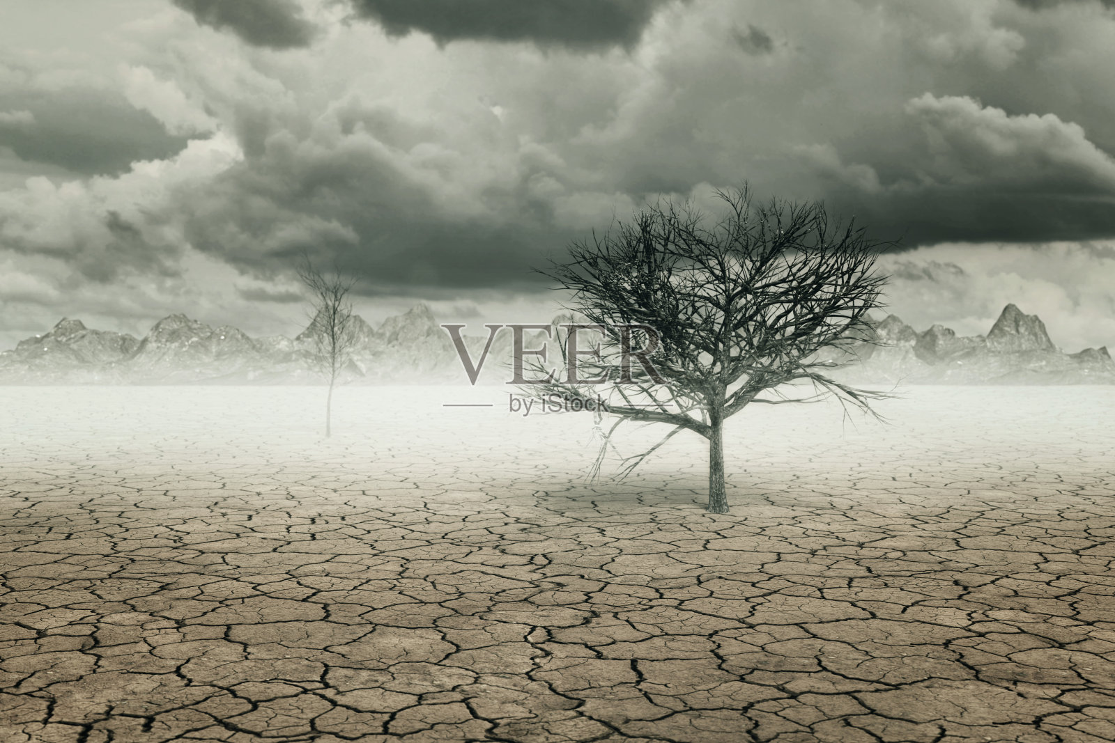 3d渲染的干燥土壤景观与树木和云照片摄影图片