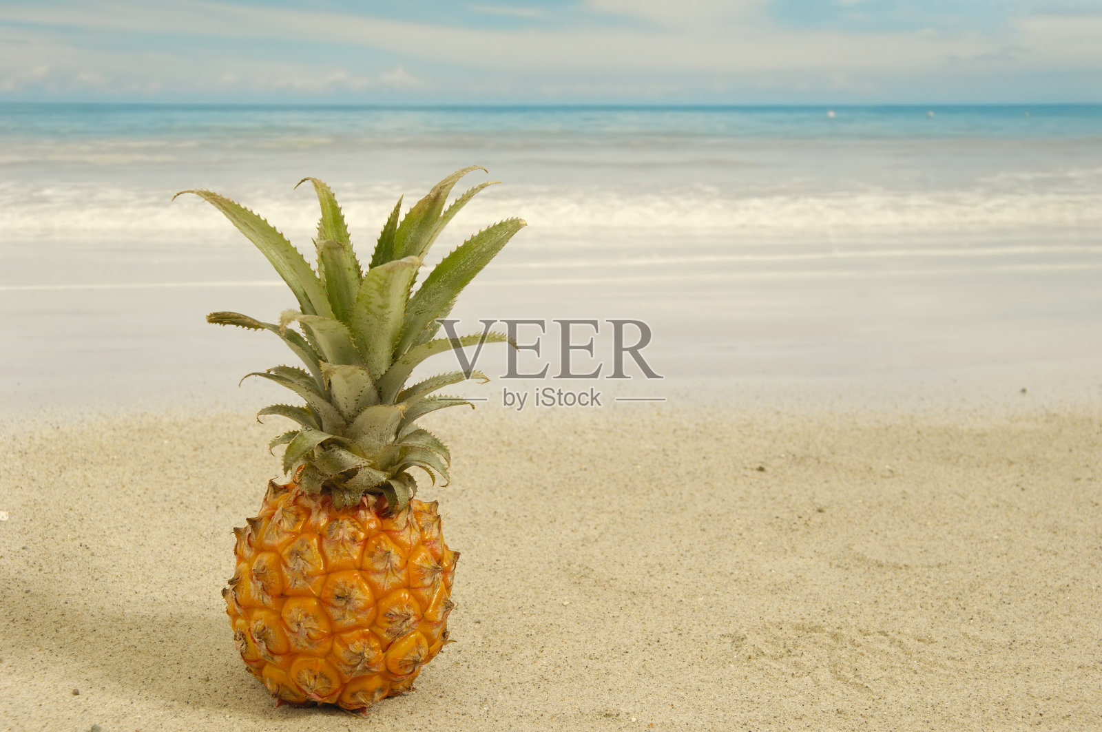 菠萝和异国风情的海滩照片摄影图片