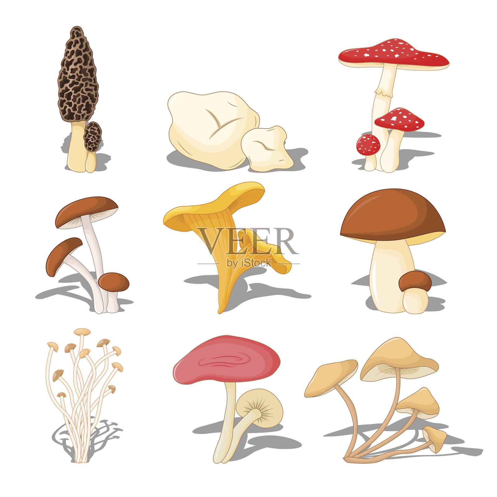 设置食用蘑菇与阴影，立体的白色背景设计元素图片